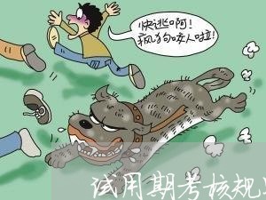 试用期考核规则违法 试用期考核规则违法