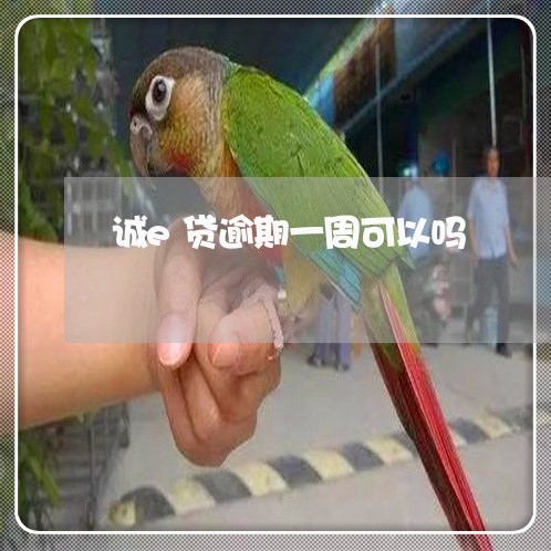 诚e贷逾期一周可以吗 诚e贷逾期一周可以吗