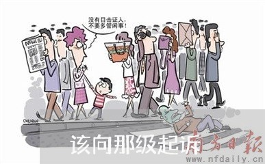 该向那级起诉