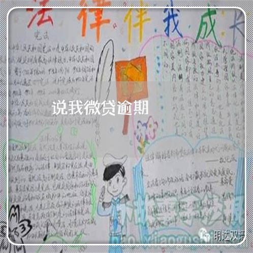 说我微贷逾期
