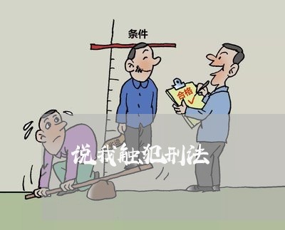 说我触犯刑法