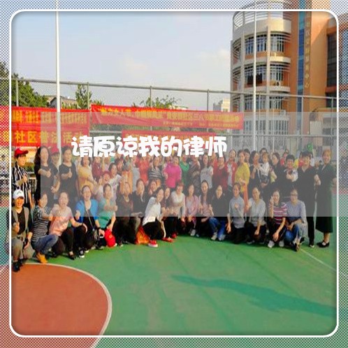 请原谅我的律师 请原谅我的律师