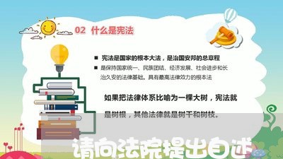 请向法院提出自述 请向法院提出自述