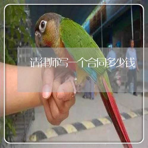 请律师写一个合同多少钱/2023060781714 请律师写一个合同多少钱/2023060781714
