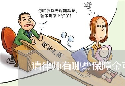 请律师有哪些保障金可以领/2023060305038