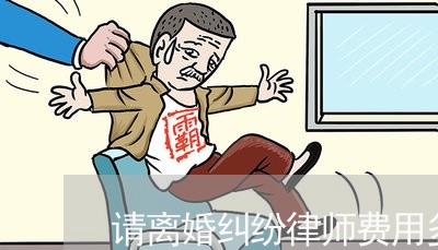 请离婚纠纷律师费用多少