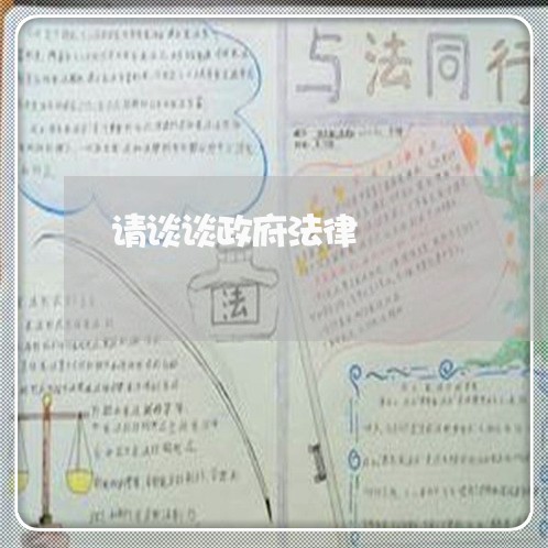 请谈谈政府法律