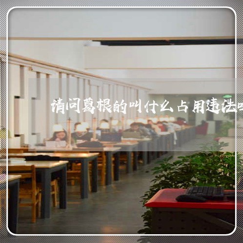请问葛根的叫什么占用违法吗 请问葛根的叫什么占用违法吗