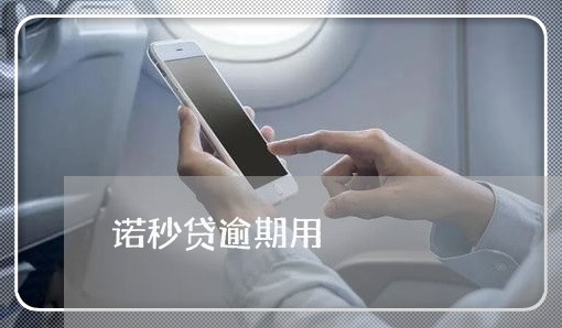 诺秒贷逾期用
