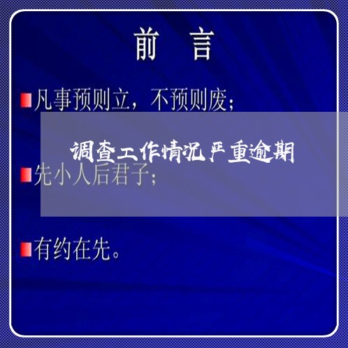 调查工作情况严重逾期 调查工作情况严重逾期