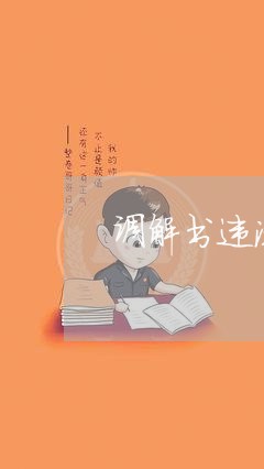 调解书违法法律程序