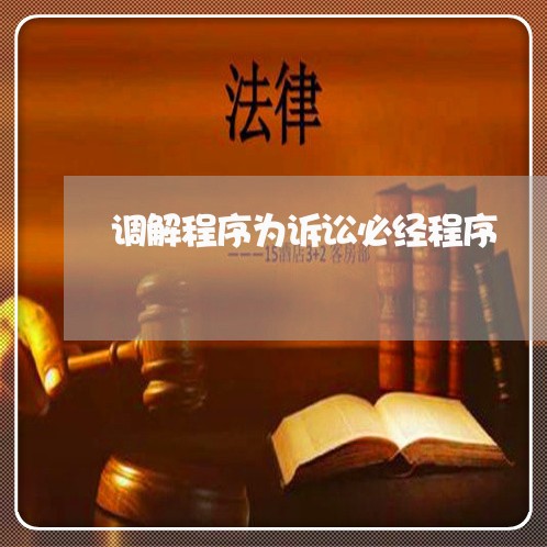 调解程序为诉讼必经程序 调解程序为诉讼必经程序