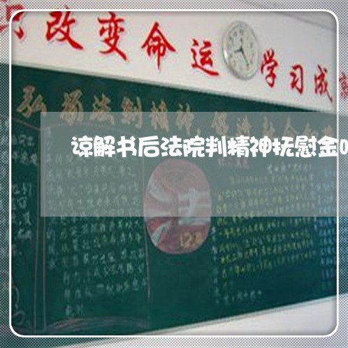 谅解书后法院判精神抚慰金吗