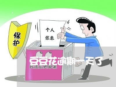 豆豆花逾期一天了