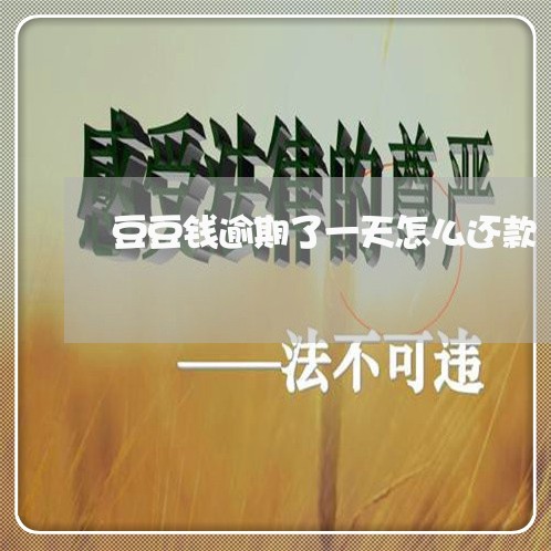 豆豆钱逾期了一天怎么还款