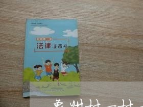 象州村一村一法律顾问