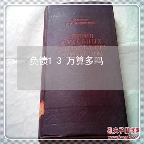 负债13万算多吗/2023022783826