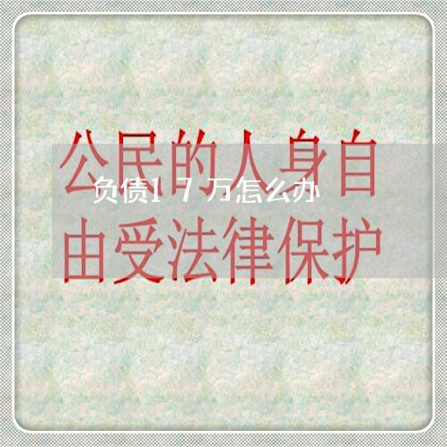 负债17万怎么办/2023011928592