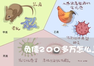 负债200多万怎么上岸快呢/2023020725046