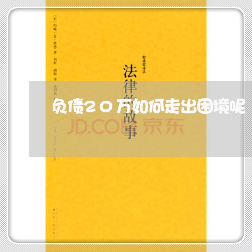负债20万如何走出困境呢/2023012122715