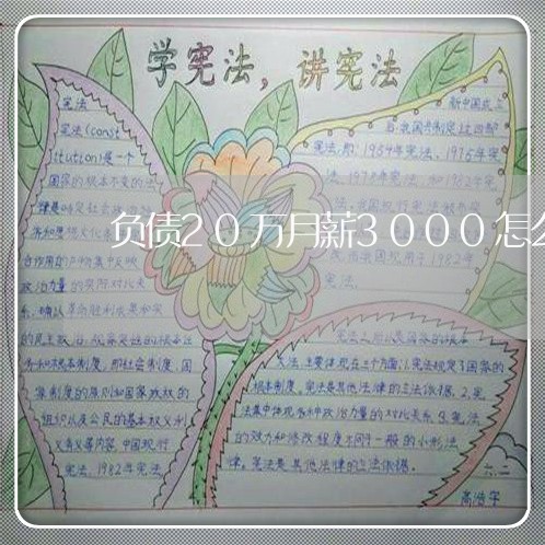 负债20万月薪3000怎么还钱/2023020959231