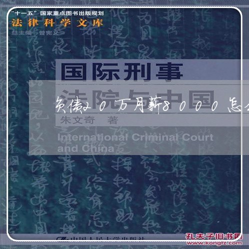 负债20万月薪8000怎么还/2023012108383 负债20万月薪8000怎么还/2023012108383