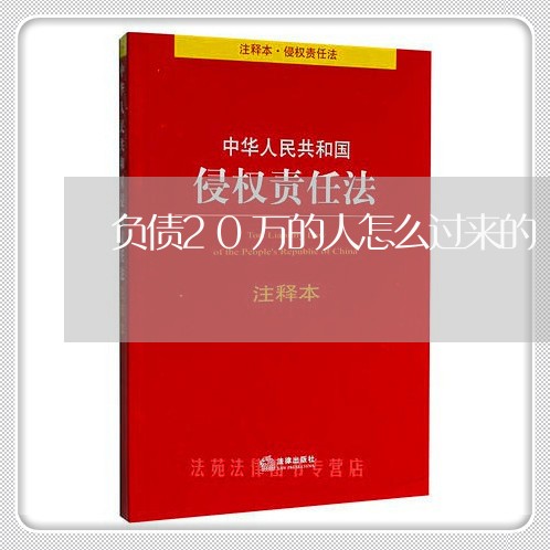 负债20万的人怎么过来的/2023100867473