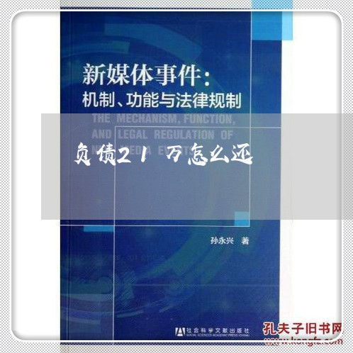 负债21万怎么还/2023012151794 负债21万怎么还/2023012151794