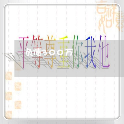 负债300万/2023022403837