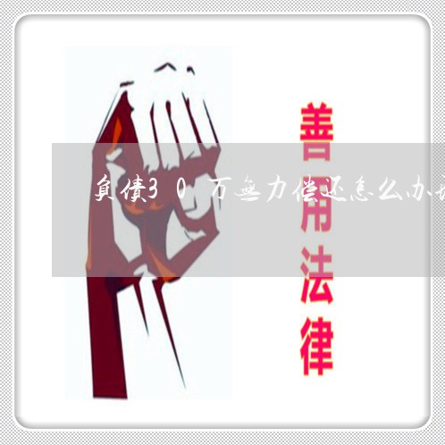 负债30万无力偿还怎么办理/2023061587138 负债30万无力偿还怎么办理/2023061587138