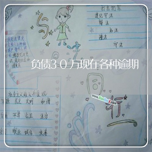 负债30万现在各种逾期/2023030167283