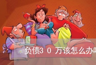 负债30万该怎么办呀/2023013000504