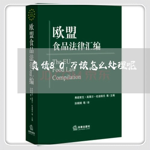 负债80万该怎么处理呢/2023030137248 负债80万该怎么处理呢/2023030137248