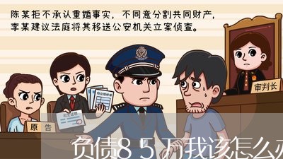 负债85万我该怎么办呢/2023030184969