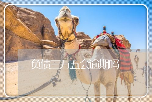 负债三万五会逾期吗