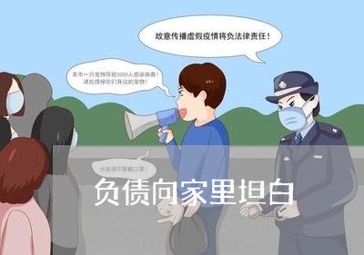 负债向家里坦白/2023011917381 负债向家里坦白/2023011917381