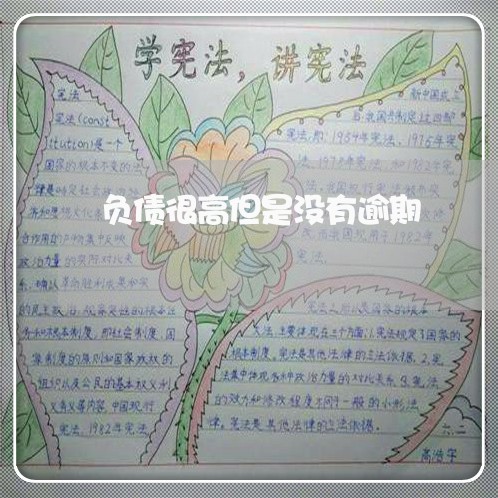 负债很高但是没有逾期 负债很高但是没有逾期