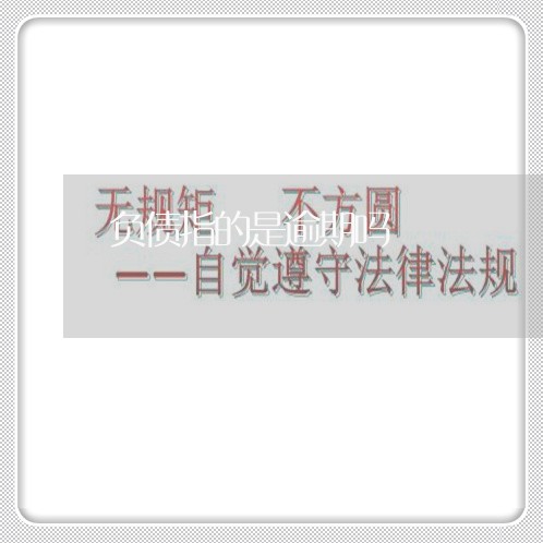 负债指的是逾期吗 负债指的是逾期吗