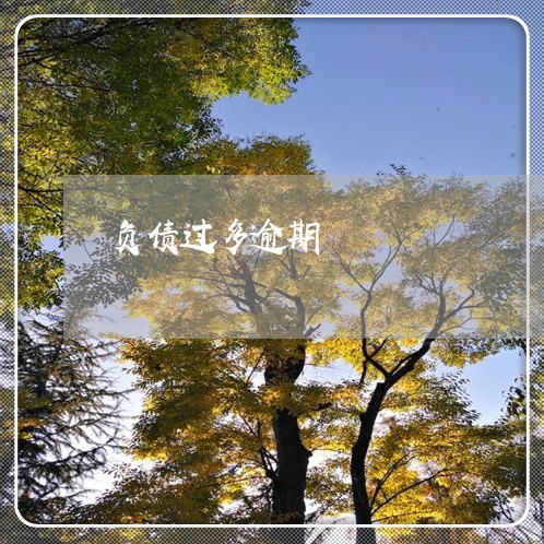负债过多逾期