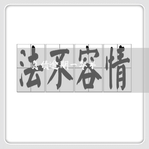 负债逾期一年半 负债逾期一年半
