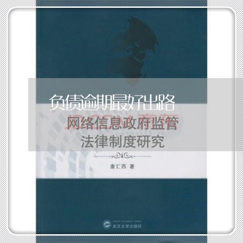 负债逾期最好出路 负债逾期最好出路
