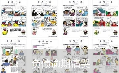 负债逾期痛哭 负债逾期痛哭