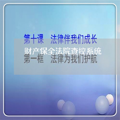 财产保全法院查控系统 财产保全法院查控系统
