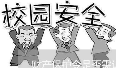财产保护令是否需诉讼 财产保护令是否需诉讼
