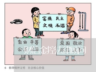 财信金控法律顾问 财信金控法律顾问