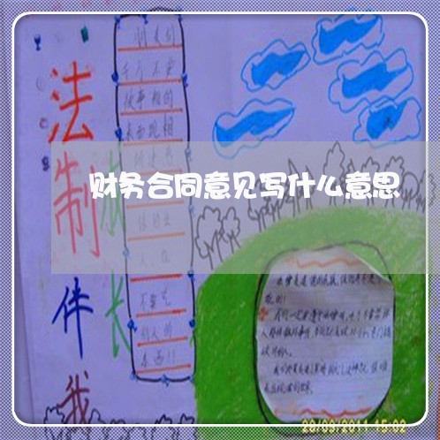 财务合同意见写什么意思/2023041318259