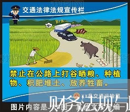 财务法规与职业道德的论文 财务法规与职业道德的论文