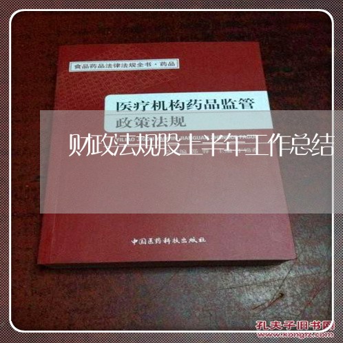 财政法规股上半年工作总结