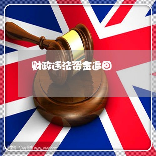 财政违法资金追回 财政违法资金追回