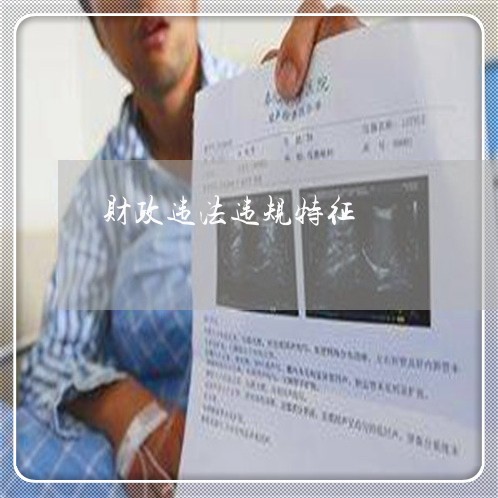 财政违法违规特征